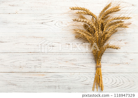 Sheaf of wheat ears close up and seeds on colored background. Natural cereal plant, harvest time concept. Top view, flat lay with copy space. world wheat crisis Sheaf of wheat ears close up and seeds on colored background. Natural cereal plant, harvest time concept. Top view, flat lay with copy space. world wheat crisis 118947329