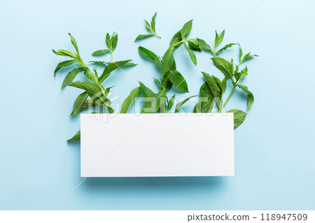 Wreath frame made of empty paper blank with space for text and mint leaves on colored background. . Mint Pattern. Flat lay. Top view 118947509