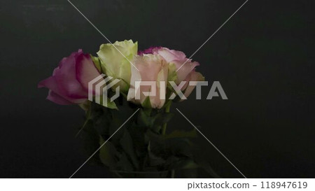 Bouquet of colourful roses on black background. Beautiful bunch of multicolored roses on dark background. Concept of wedding, love, romance, Valentine's day 118947619