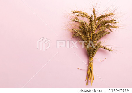 Sheaf of wheat ears close up and seeds on colored background. Natural cereal plant, harvest time concept. Top view, flat lay with copy space. world wheat crisis Sheaf of wheat ears close up and seeds on colored background. Natural cereal plant, harvest time concept. Top view, flat lay with copy space. world wheat crisis 118947989
