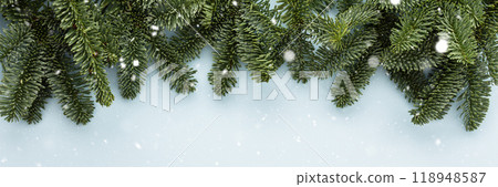 Branches of a green spruce on a blue background 118948587