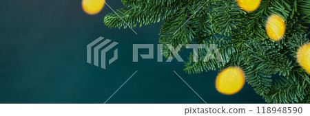 Fir branches background 118948590