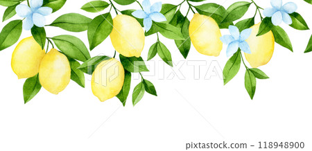 watercolor seamless border, lemon fruit tree branches. illustration in simple style 118948900