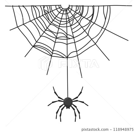 Spider hanging from net. Halloween spooky web decoration 118948975