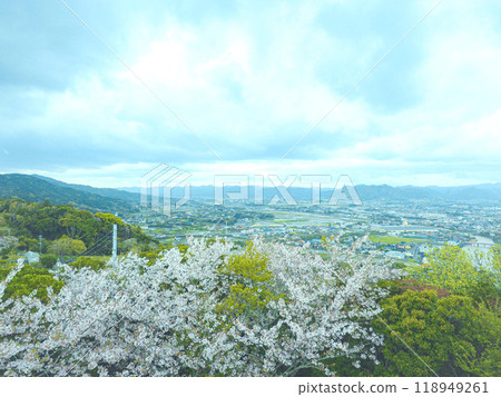 Kamo River: View from Uomizuka Observatory 118949261