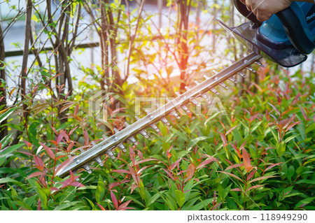 Gardener trimming bush by electric hedge clippers in garden. Hobby at home. 118949290