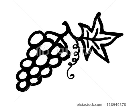 Grapes. Hand drawn fruit bold line ink doodle. Black vector illustration isolated on white background. 118949878