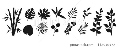 Set of various plants silhouettes. Branches, leaves and botanical elements isolated on white background. Vector illustration Set of various plants silhouettes. Branches, leaves and botanical elements isolated on white background. Vector illustration 118950572