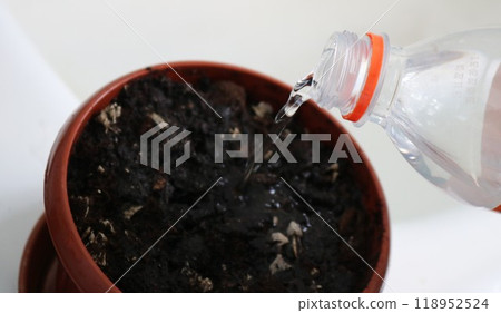close up of watering pot with soil without plant from transparent plastic bottle with red ring on neck, watering potting soil with sprouting seed 118952524