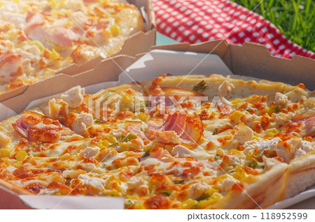 Two pizzas on a checkered red and white tablecloth on the grass. Picnic Two pizzas on a checkered red and white tablecloth on the grass. Picnic 118952599