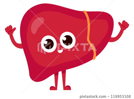 Liver cartoon character. Healthy human organ mascot Liver cartoon character. Healthy human organ mascot 118953108
