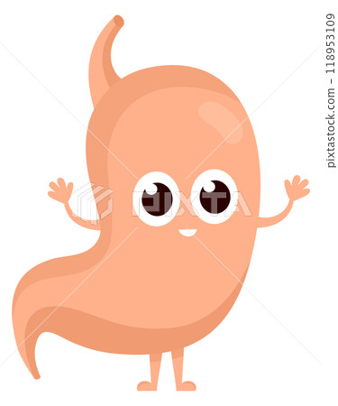 Happy stomach. Healthy digestive organ cartoon character Happy stomach. Healthy digestive organ cartoon character 118953109