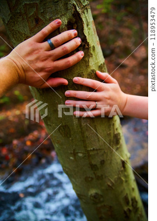 Family Connection with Nature - Gently Touching Tree Trunk 118953479