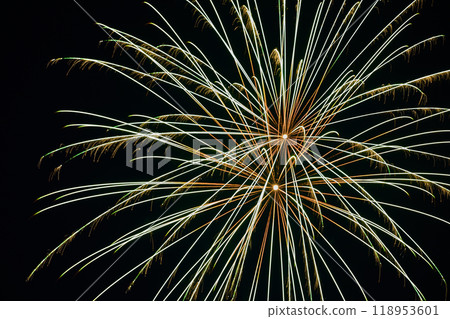 Vibrant Firework Display at Night with Golden Streaks and Feathery Bursts 118953601