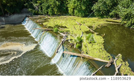 Green algae and bleached tree logs over waterfall into swirling basin Maumee River Dam Fort Wayne, IN aerial 118953629