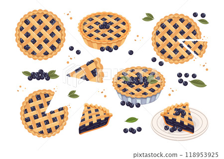 Set of baked blueberry pie, pie pieces and blueberries. Food, dessert, sweet. Flat illustration, sweet snack icons 118953925
