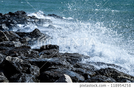 wave, rock, coast 118954258
