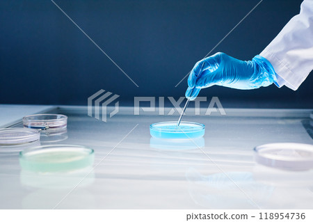 Close up on hand in medical glove dripping liquid from pipette into petri dish containing blue substance placed on light table in laboratory, copy space 118954736