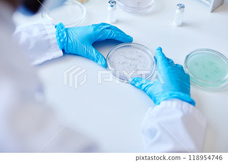 Top view of unrecognizable biochemist hands in blue gloves culturing bacteria in petri dish while developing new pharmaceuticals in laboratory of manufacturing company, copy space Top view of unrecognizable biochemist hands in blue gloves culturing bacteria in petri dish while developing new pharmaceuticals in laboratory of manufacturing company, copy space 118954746