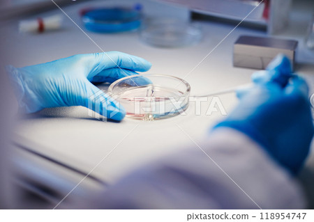 Close up on hands of unrecognizable biochemist working with liquid in petri dish studying bacteria while developing new pharmaceuticals in laboratory of manufacturing company, copy space 118954747