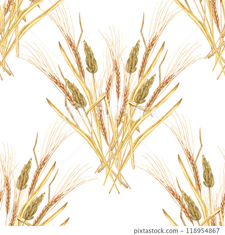 Watercolor Seamless Pattern with ears of wheat. Autumn wallpaper for harvest festival or thanksgiving. Fall botanical illustration for scrapbooking paper, stationery design Watercolor Seamless Pattern with ears of wheat. Autumn wallpaper for harvest festival or thanksgiving. Fall botanical illustration for scrapbooking paper, stationery design 118954867