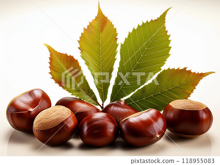 Autumn taste: picking chestnuts and falling leaves 118955083
