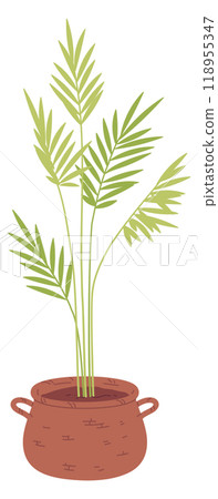 Majesty palm color icon. Green natural plant Majesty palm color icon. Green natural plant 118955347