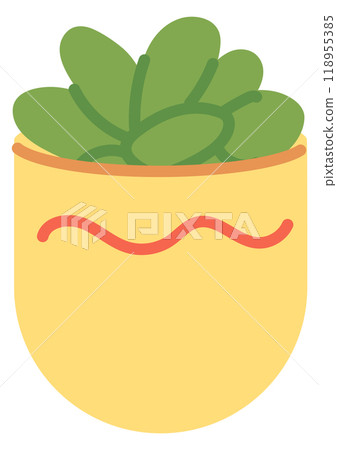 Home succulent decoration. Potted plant. House greenery Home succulent decoration. Potted plant. House greenery 118955385