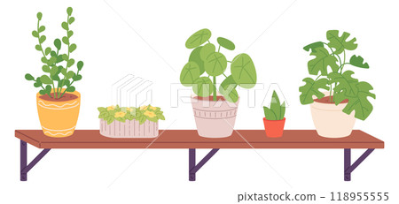 Urban jungle shelf. Houseplants growing. Green decoration Urban jungle shelf. Houseplants growing. Green decoration 118955555
