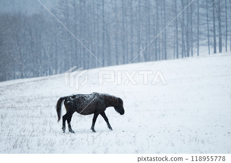 北海道冬季兒童 118955778