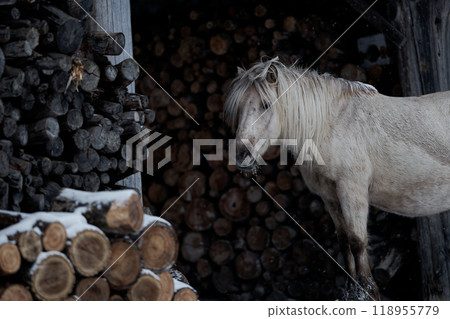 北海道冬季兒童 118955779