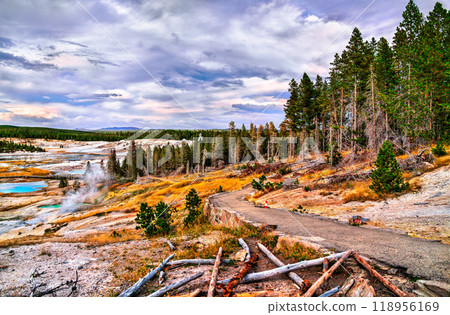 Norris Geyser Basin Loop Trail at Yellowstone National Park in Wyoming, United States 118956169