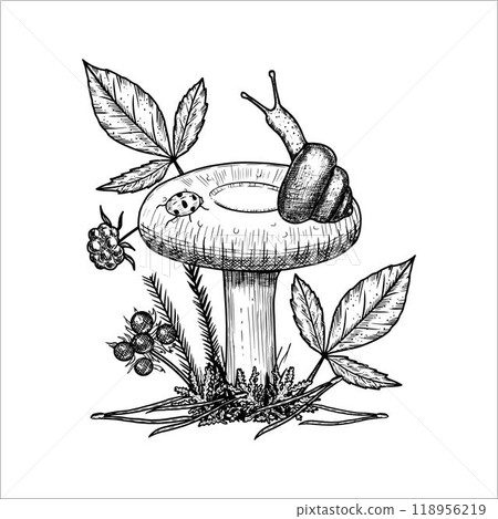 Hand drawn mushrooms with moss, berries, snail. Vector illustration Hand drawn mushrooms with moss, berries, snail. Vector illustration 118956219