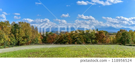 Panoramic view of the Tokachi mountain range and colorful autumn leaves against a blue sky from the hills of Biei Panoramic view of the Tokachi mountain range and colorful autumn leaves against a blue sky from the hills of Biei 118956524