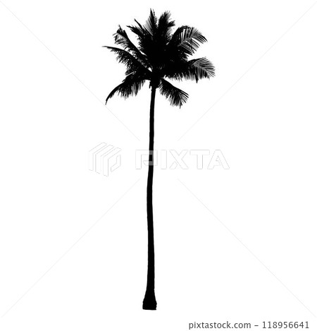 Coconut palm tree silhouette vector 118956641