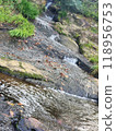 fallen leaves floating on the river 118956753