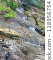 fallen leaves floating on the river 118956754