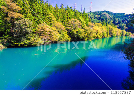 藍色和綠色的志摩湖 118957887