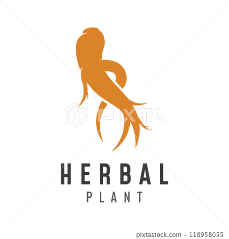 Logo design of natural ginseng herb plant and leaves.Logo for business, herbal,floral. 118958055
