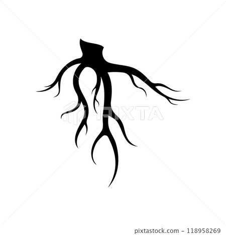 Single and fibrous tree root natural abstract logo creative template design. 118958269