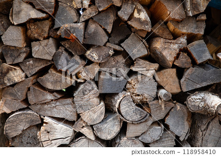 樹的木柴 118958410