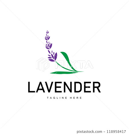 Lavender logo simple design vector cosmetic plant purple color and aromatherapy lavender flower garden template Lavender logo simple design vector cosmetic plant purple color and aromatherapy lavender flower garden template 118958417