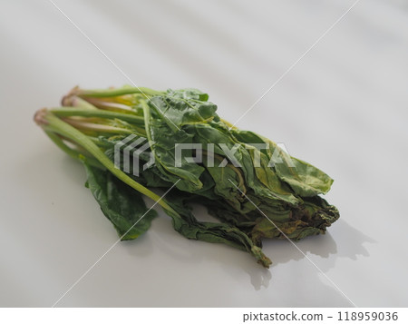 損壞的小松（白色背景） 118959036