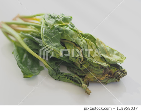 損壞的小松（白色背景） 118959037