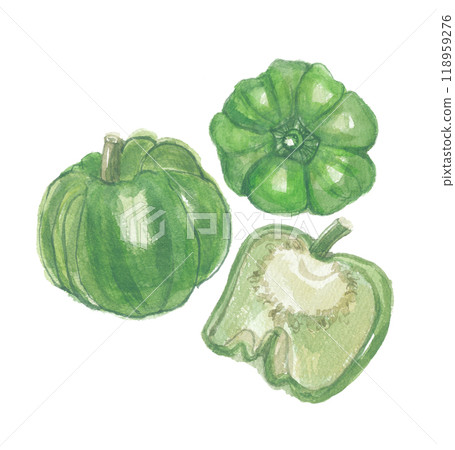 Botagohsho painted in watercolor Botagohsho painted in watercolor 118959276