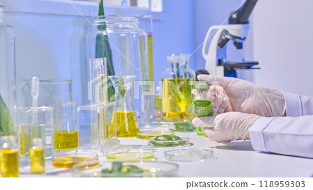 In this modern lab, complete with all the tools and materials needed for studies, a scientist divides an aloe vera branch in half for analysis. 118959303