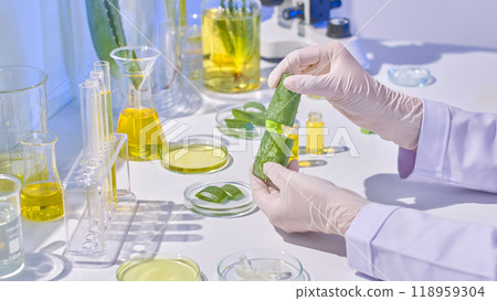 A scientist breaks aloe vera stems in half and applies gel on them for observation in this photo taken in a modern lab equipped with all the tools and supplies required for studies. A scientist breaks aloe vera stems in half and applies gel on them for observation in this photo taken in a modern lab equipped with all the tools and supplies required for studies. 118959304