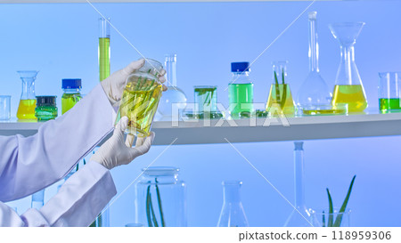 Surrounded by shelves brimming with further experimental apparatus, the template for a laboratory image depicts a scientist reaching for a glass jar holding aloe and meticulously inspecting it. Surrounded by shelves brimming with further experimental apparatus, the template for a laboratory image depicts a scientist reaching for a glass jar holding aloe and meticulously inspecting it. 118959306