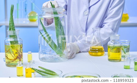 A contemporary aloe vera lab image sample shows scientists moving enormous aloe vera jars from shelf to table as aloe vera samples and solution jars surround them. 118959323