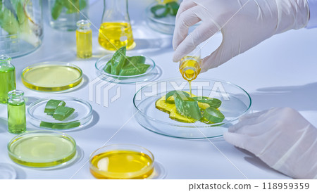 In a contemporary scientific facility, stocked with all necessary supplies and tools, an investigator unsealed a little yellow solution bottle and transferred contents onto an aloe-filled petri plate. 118959359